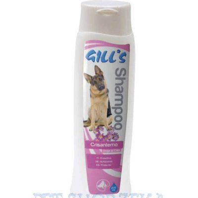 GILLS šampon Hrizantema 200ml